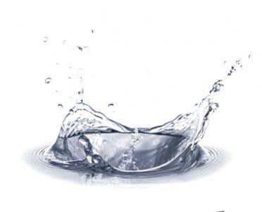 Health & Personal Care