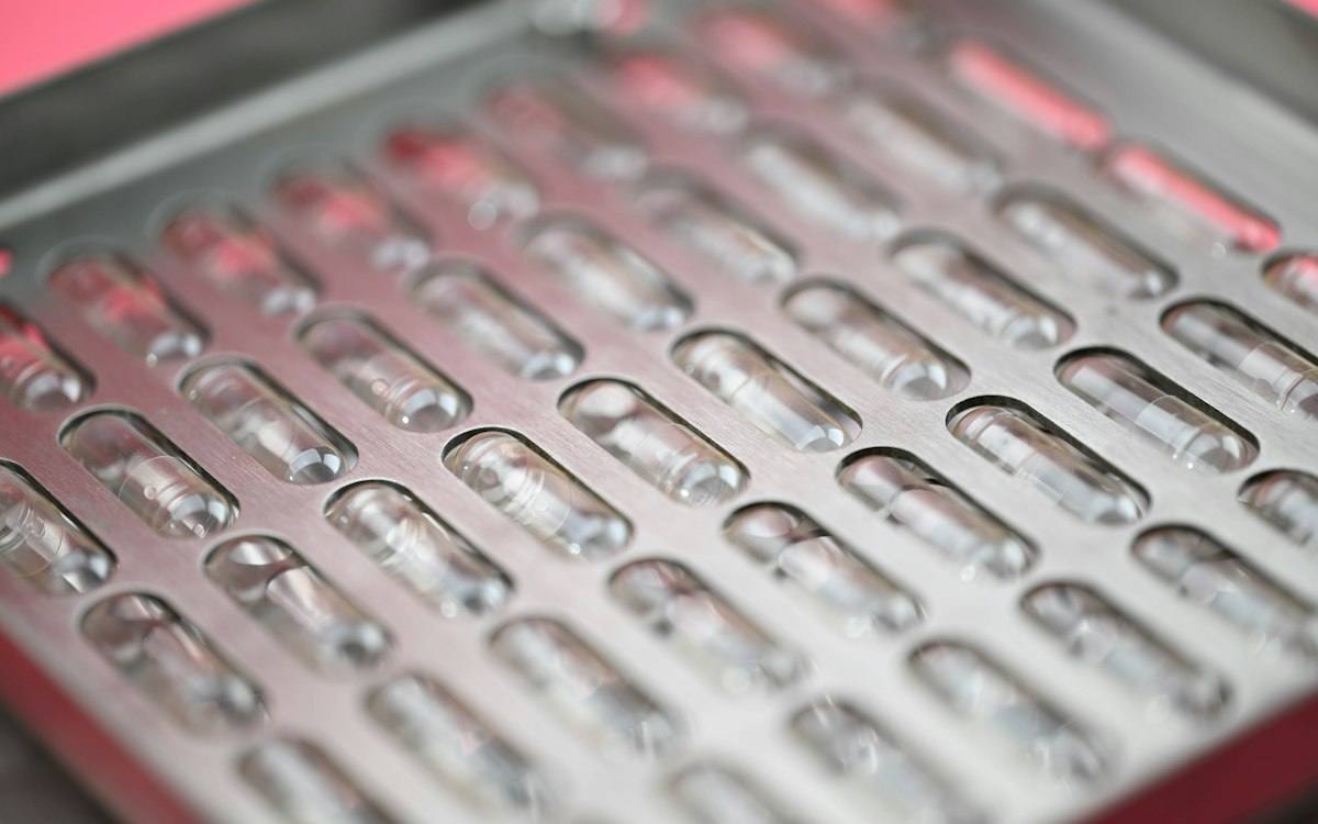 Rows of empty capsule shells ready for filling