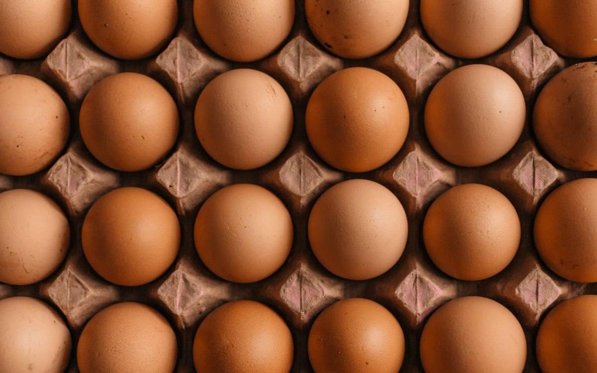 Tray of brown eggs from layers fed calcium and phosphate minerals